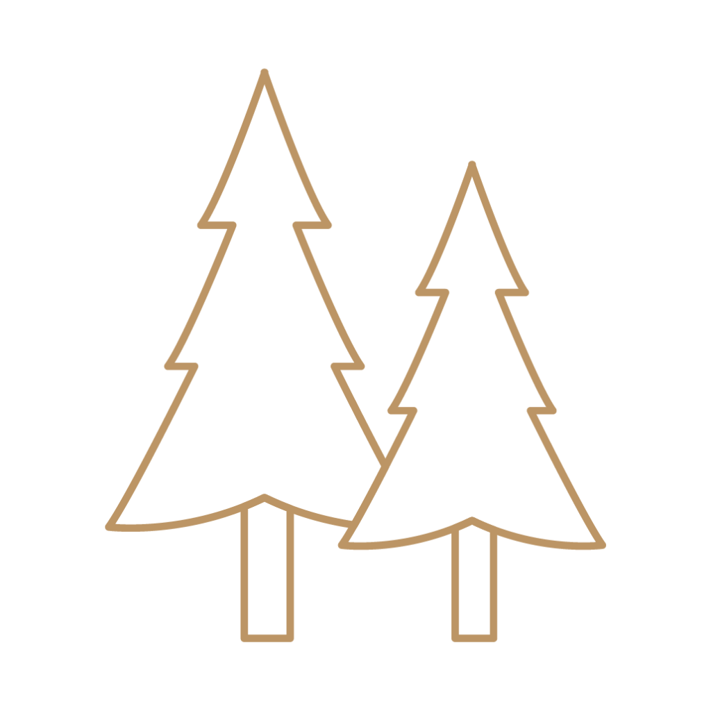 Profesional Tree Felling & Trimming